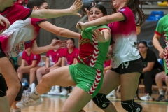 LAVvsCHA-F42AUT-daniparedes-FGBM-20.jpg