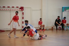 IMG_2904