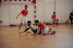 IMG_2905