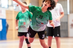 F4_alevin-benjamin-117