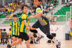 F4_alevin-benjamin-132