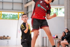 F4_alevin-benjamin-165