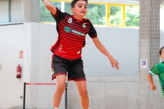 F4_alevin-benjamin-18