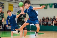 F4_alevin-benjamin-32