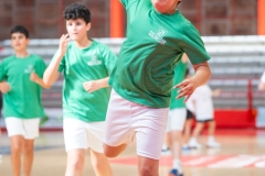 F4_alevin-benjamin-4