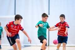 Final4_Alevin_Lalin-2