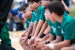 Final4_Alevin_Lalin-4