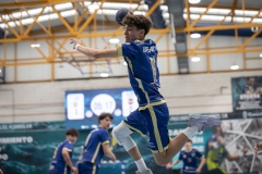 F4-CM-CNGvsCHA-FGBM-33