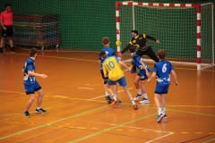 IMG_4229