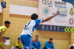 photo5953960459633801033-copia