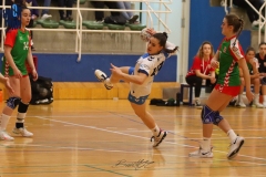 photo5958428458277255447