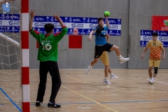 GAL-ARA_279