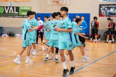 2026_cesa-15
