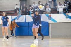 @fergodesign-146