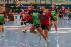 SAR-SAM_208