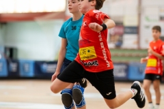 Alevin_Benxamins_A-Estrada-3