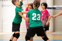 Alevin_Benxamins_A-Estrada-45