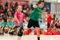 Alevin_Benxamins_A-Estrada-55