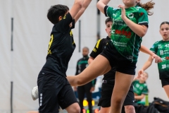 Alevin_Benjamin_Lalin-120