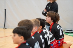 Alevin_Benjamin_Lalin-3