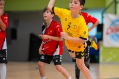 Alevin_Benjamin_Lalin-80