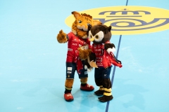 Espana-Azerbaiyan_O_Porrino-13