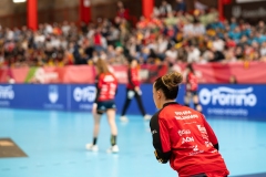 Espana-Azerbaiyan_O_Porrino-14