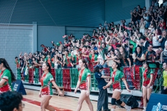 @fergodesign-10.jpg