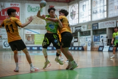 ARTvsSAR-F42AUT-daniparedes-FGBM-105.jpg