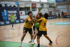 ARTvsSAR-F42AUT-daniparedes-FGBM-128.jpg