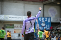 ARTvsSAR-F42AUT-daniparedes-FGBM-64.jpg