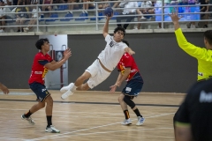 ESP-POR-FGBM-48