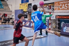 IM-FERLOVI-CARBALLAL-BALONMAN-LIBRERIA-DALVI-LALIN