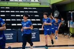 Final4_Inf_Lalin-11