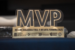 Final4_Inf_Lalin-256