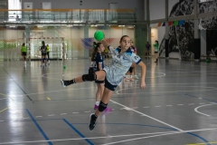 DDT-PONTEVEDRA-FGBm-13