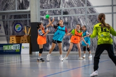 DDT-PONTEVEDRA-FGBm-25