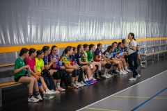 DDT-PONTEVEDRA-FGBm-38