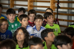 DDTBm-PONTEVEDRA-F-15