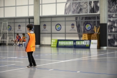 DDTBm-PONTEVEDRA-Gm-12