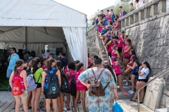 Presentacion_Arena1000-1